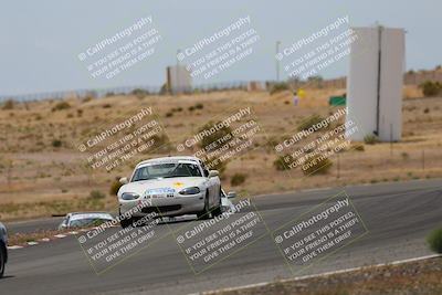 media/May-03-2025-Lucky Dog Racing (Sat) [[206de64b9d]]/Turn 6 (150pm-230pm)/